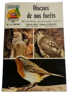 Vögel aus unseren Wäldern. Illustrierte Sammlung der wichtigsten Arten - Reg Jones - Bild 1 von 5