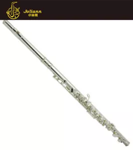 Alto Flute ,It Only Has A Straight Flute Head Promotion!! - Picture 1 of 8