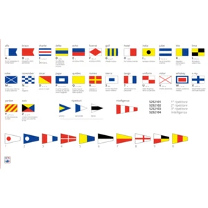 Bandiera Lettera D Cm.30X45 - Imagen 1 de 1