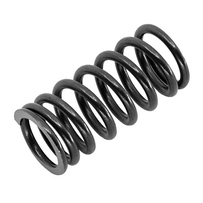 Intake or Exhaust Valve Spring for Arctic Cat Bearcat 5000 2015 / 3007-625 - Image 1 of 4