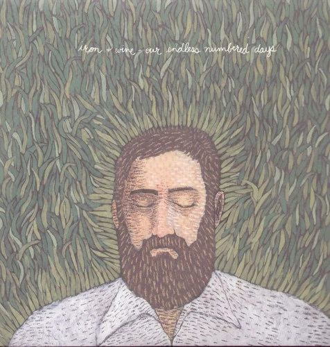 Iron & Wine - Our Endless Numbered Days [New Vinyl LP] - Image 1 of 1