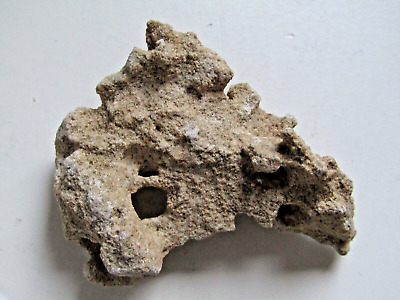 Calcarea Del Puerto De Cesarea (Israel) 2000 Años De Desgaste - Hechos 10:1 • 48€