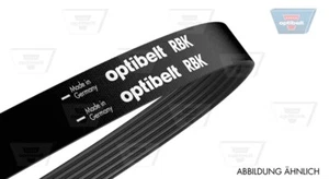Optibelt Multi Groove Belt for Renault 19 L53 1.8L Petrol F7P704 1992-1995 - Picture 1 of 1