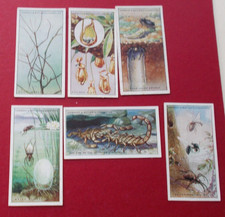 cigarette cards LAMBERT & BUTLER WONDERS OF NATURE A SERIES LOT C
