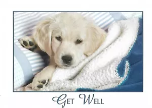 Greeting Card - Get Well, Puppy Wrapped Up Into a Blanket 4 Crafts Scrapbook - Picture 1 of 2