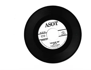 Sky-Air-O-Plane Ride-Ascot 2237(1960's Sunshine Pop 45)(Hear It) - Picture 1 of 2