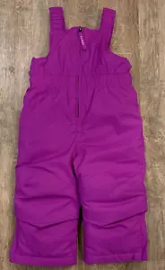 L.L. Bean Cold Buster Snow Bibs Pants Purple Grow Cuffs Toddler Size 2T - Picture 1 of 15