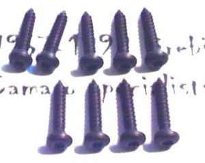 78 - 81 CAMARO Z28 GRILL MOUNTING SCREW / FASTENERS W/ TORX HEAD 9 PC SET- BLACK - Bild 1 von 1
