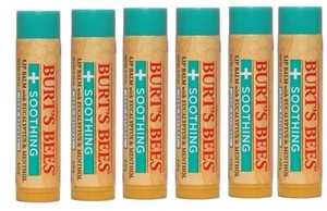 (Pack 6) Burt's Bees Lip Balm with Eucalyptus Oil and Menthol 0.15 oz - Picture 1 of 1