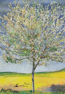 Cartolina artistica - Ferdinand Hodler: ciliegio in fiore - Foto 1 di 1