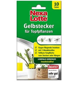 Nexa Lotte Gelbstecker für Topfpflanzen 10 Stück - Bild 1 von 1