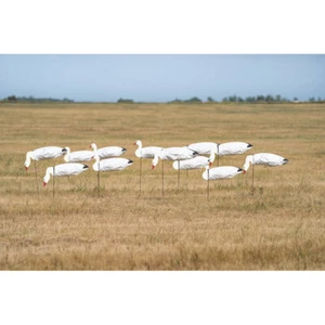 Avery GHG Pro-Grade Windsock Decoys - Snow Goose With Heads - Picture 1 of 1