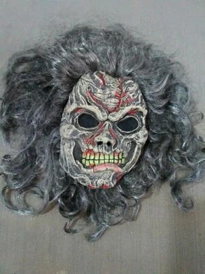 Decaying Zombie Latex Mask With Hair Adult Costume Accessory - Image 1 of 4