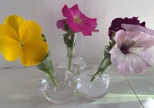 Retro MCM 3 Cluster Bud Vase Round Plant Propagation Station Unique Vintage - Picture 1 of 9