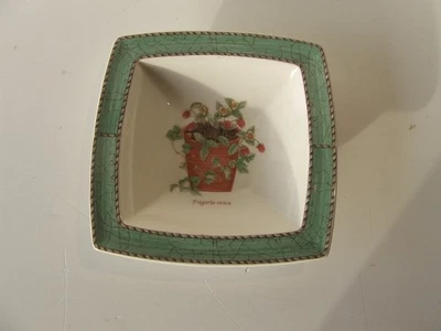Plato de carnes dulces jardín Sarah's Wedgewood c1997 Inglaterra verde cuadrado 15 cm Foto 1 de 3