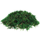 Grünes Moos Für Bonsai Konserviertes Topfmoos Dekor Pflanze Korb Künstlich