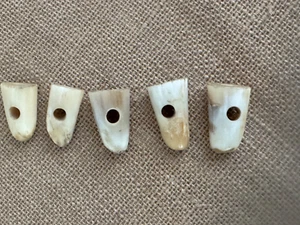 Set of 5 Chunky Horn Buttons - Picture 1 of 3
