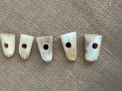 Set of 5 Chunky Horn Buttons - Image 1 of 3