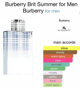Burberry Brit Summer For Men 100ml EDT.Limited edition - Picture 1 of 6