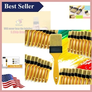 Disposable Synthetic Bristle Paint Brushes - 40-Pack 2 Inch Wide Chip Brush Set - Picture 1 of 8