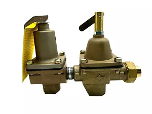 Watts 1/2" Dual Controls Regulator And Relief Valve S1450F-STD NEW - Picture 1 of 7