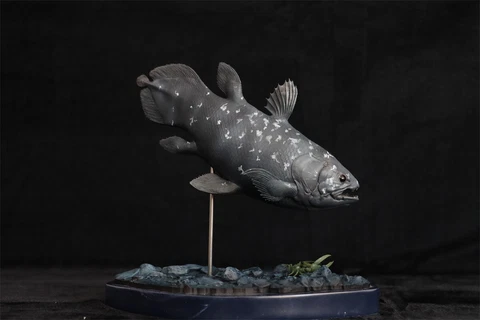 MM 1/15 Coelacanth Statue Latimeria chalumnae Animal Fish Model Collector GK Toy Cover