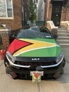 Guyana Flag Hood Cover Fits All Cars - Picture 1 of 12