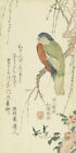 Parrot in a Plum Tree by Kitao Shigemasa Japanese Woodblock