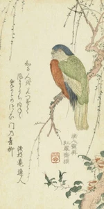Parrot in a Plum Tree by Kitao Shigemasa Japanese Woodblock - Bild 1 von 7