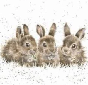 RABBIT (12) CROSS STITCH PATTERN - Picture 1 of 2