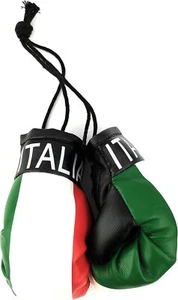 Mini guantes de boxeo con espejo de coche colgante (Italia) Italia - Imagen 1 de 2