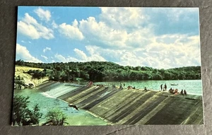 Postcard: Ingram Dam Guadalupe River Swimming Boating ~ Kerrville, Texas - Picture 1 of 2