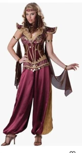 incharacter Desert Jewel Costume Ex Large Harem Indian Arabian W/Garment Bag - Picture 1 of 16