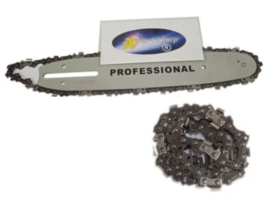EXPERTSHOP LAMA BARRA PER MOTOSEGA 25 CM PIU SECONDA CATENA IN OMAGGIO MOTO SEGA RICAMBIO