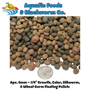 5-lbs 6mm 4-Type Growth, Color, Silkworm, Wheat Germ Floating Pellets KGM-250 - Picture 1 of 4