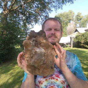 Very Large Dinosaur Spine Part UNPREPARED Fossil Hell Creek Formation Cretaceous - Picture 1 of 11