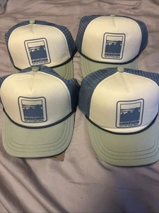 Pataognia Kids Instertate Hat Lot Of 4 SnapBack NWT $156 - Picture 1 of 5