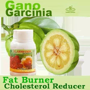 Gano Garcinia Capsules Fat Burner Cholesterol Reducer Gano Excel 120's - Picture 1 of 5