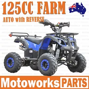 125cc FARM AUTO WITH REVERSE ATV QUAD Dirt Bike Gokart 4 Wheeler Buggy kids blue - Picture 1 of 18