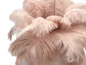 10 Pieces - 8-10" Champagne Ostrich Drabs Body Feathers Centerpiece Mardi Gras - Picture 1 of 11