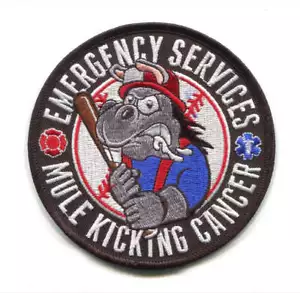 Canada ON - Oshawa Fire Department Foamers Mule Kicking Cancer Patch - Picture 1 of 1