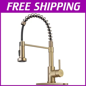 Lead-Free Brass Kitchen Faucet with Pull Down Sprayer - Picture 1 of 8