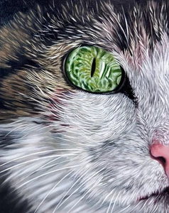 Cat Oil painting On Canvas Original Realism Pet Animal Fine Art Deco signed - Picture 1 of 5