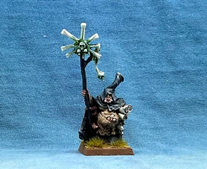 Warhammer AOS Painted Death Guard Sorcerer Rotbringer General Nurgle WC061 - Picture 1 of 7