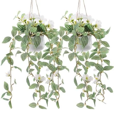 2件装人造悬挂植物人造装饰天然人造悬挂盆栽... — 第 1/4 张图片