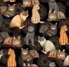 Katzen Stoff 18,90€/m Schwarz Medaillon Felicity Cats Patchworkstoffe Tiermotive