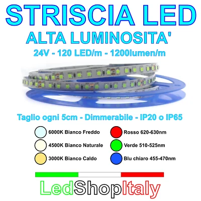 Strisce LED 24V 12W/m 120LED/m luce bianca o colore IP20 o IP65 bobine 5m o 10m - Immagine 1 di 4
