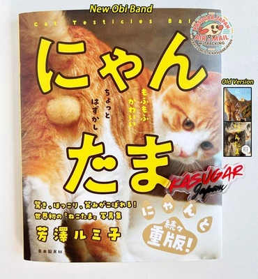 Nyantama Cat Testicles Male Cats Furry Balls Photo Picture Book Japanese from JP - Image 1 of 4