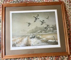 LITOGRAFIA FIRMATA A MANO JOHN C. GREEN "FENCELINE MEMORY" LTD ED 20/1975 - Foto 1 di 7