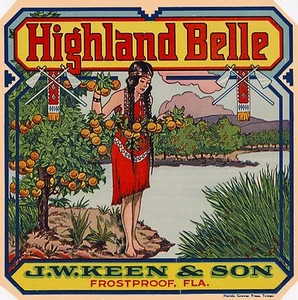 Frostproof Florida Highland Belle Orange Citrus Fruit Crate Label Art Print - Picture 1 of 1
